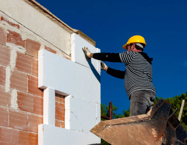 Best Insulation Installation Services in West Monroe, MI