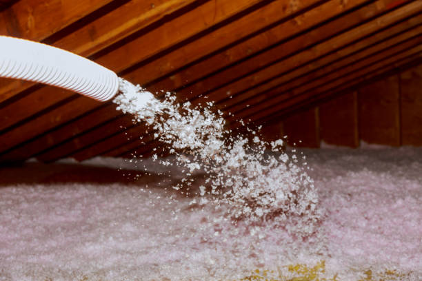 Best Commercial Insulation in West Monroe, MI
