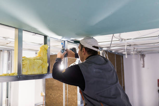 Best Residential Insulation in West Monroe, MI