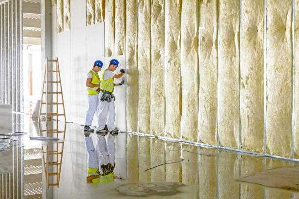 Best Insulation Maintenance and Repair in West Monroe, MI